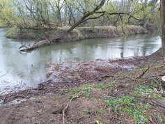 Odra po vyčištění