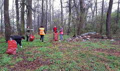 skládka u hasičské chaty