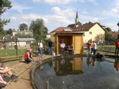 bude těch kapříků dost